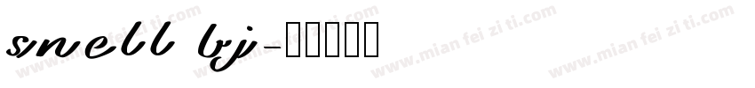 snell bj字体转换
